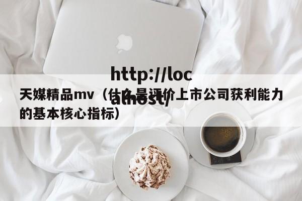 天媒精品mv（什么是评价上市公司获利能力的基本核心指标）